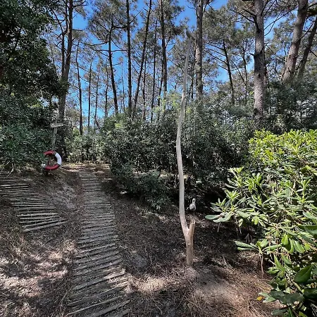 With Garden, Beaches Within Walking Distance Apartment *
