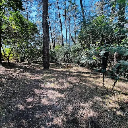 With Garden, Beaches Within Walking Distance