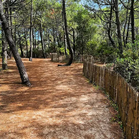 With Garden, Beaches Within Walking Distance Apartment *