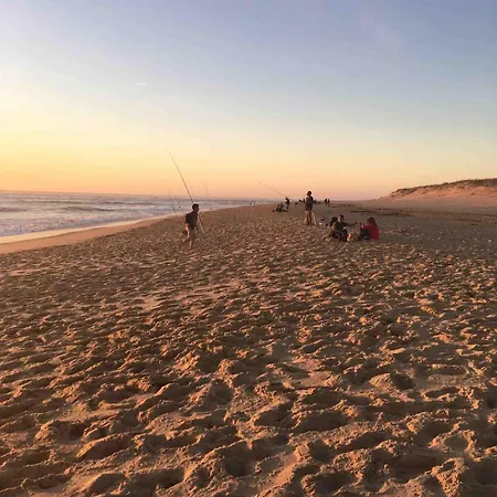 With Garden, Beaches Within Walking Distance Apartment Lège-Cap-Ferret