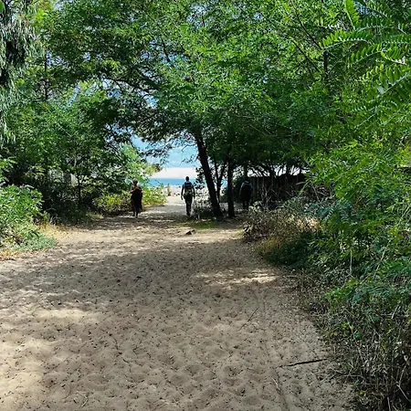 With Garden, Beaches Within Walking Distance * Lège-Cap-Ferret